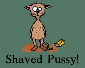 shavedpussy