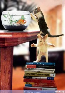 Cats_Helping_Eachother_to_get_the_Fish-208x300