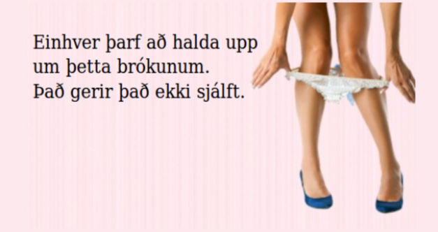 Hugtakaskýring handa lesendum leyniskyttunnar